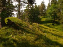 2013-07-20_Regina-F-Rau_Kochel-Rabenkopf (395).JPG